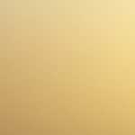 新入社員からのメッセージ